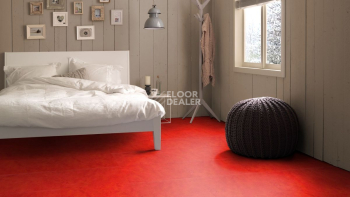 Forbo Marmoleum Click 333131 scarlet фото 2 | FLOORDEALER